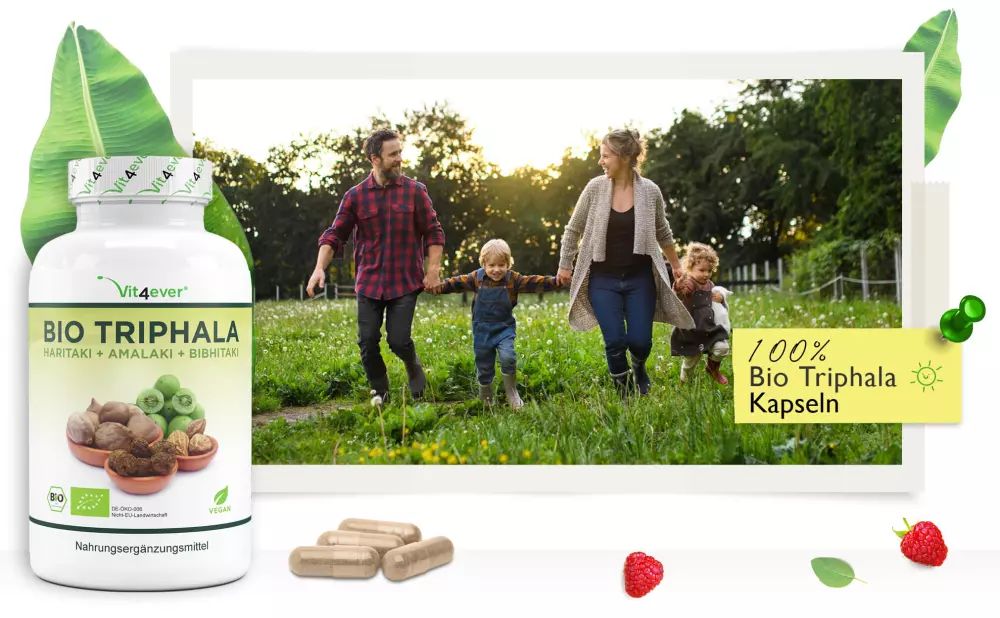TРИФАЛА ЗА ПРОЧИСТВАНЕ НА ОРГАНИЗМА 750mg - 365 капсули | Vit4ever ...